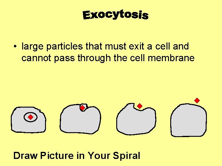  • large particles that must exit a cell and cannot pass through the