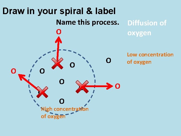 Draw in your spiral & label Name this process. O O O O Low