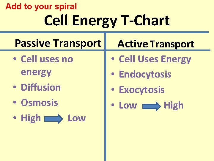 Add to your spiral Cell Energy T-Chart Passive Transport • Cell uses no energy