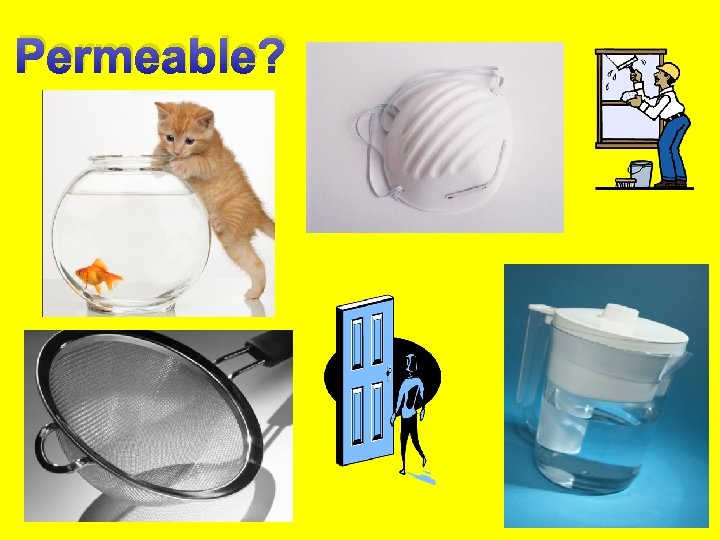 Permeable? 