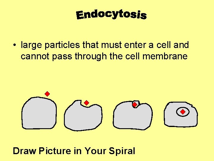  • large particles that must enter a cell and cannot pass through the