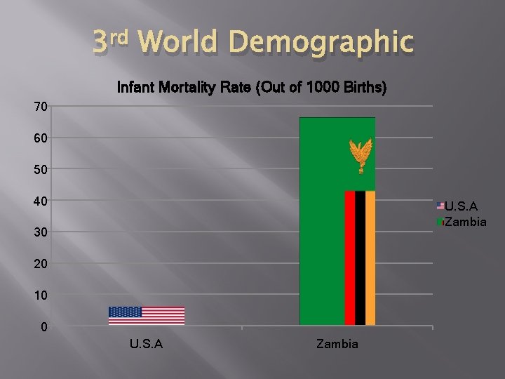 3 rd World Demographic Infant Mortality Rate (Out of 1000 Births) 70 60 50