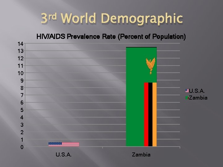 3 rd World Demographic HIV/AIDS Prevalence Rate (Percent of Population) 14 13 12 11