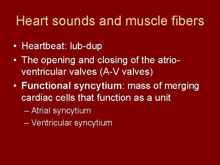 Heart sounds and muscle fibers • Heartbeat: lub-dup • The opening and closing of