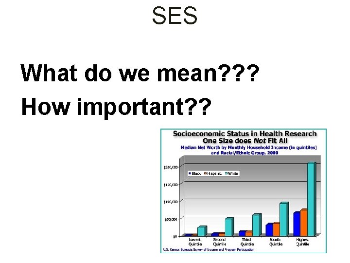 SES What do we mean? ? ? How important? ? 