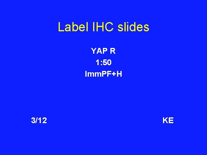 Label IHC slides YAP R 1: 50 Imm. PF+H 3/12 KE 
