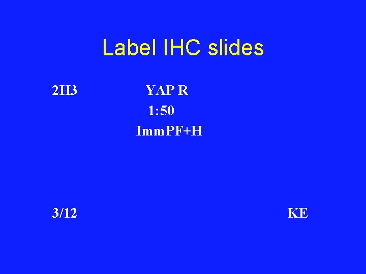 Label IHC slides 2 H 3 3/12 YAP R 1: 50 Imm. PF+H KE
