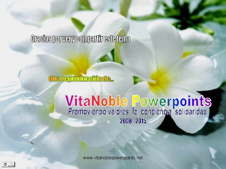 www. vitanoblepowerpoints. net 