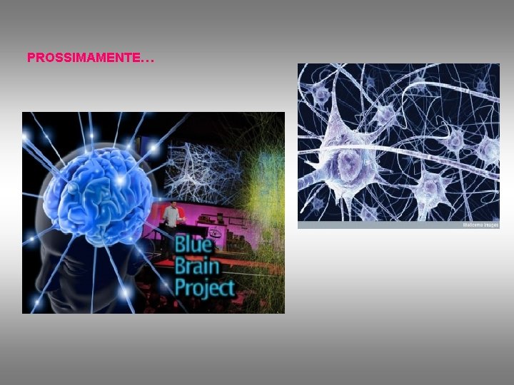 PROSSIMAMENTE… 