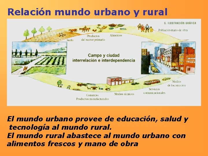 Relación mundo urbano y rural El mundo urbano provee de educación, salud y tecnología