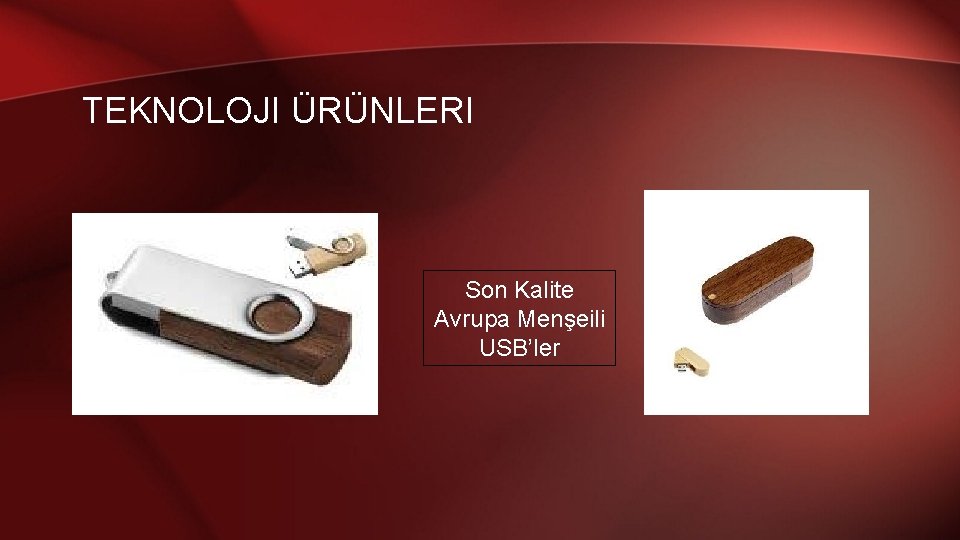 TEKNOLOJI ÜRÜNLERI Son Kalite Avrupa Menşeili USB’ler 