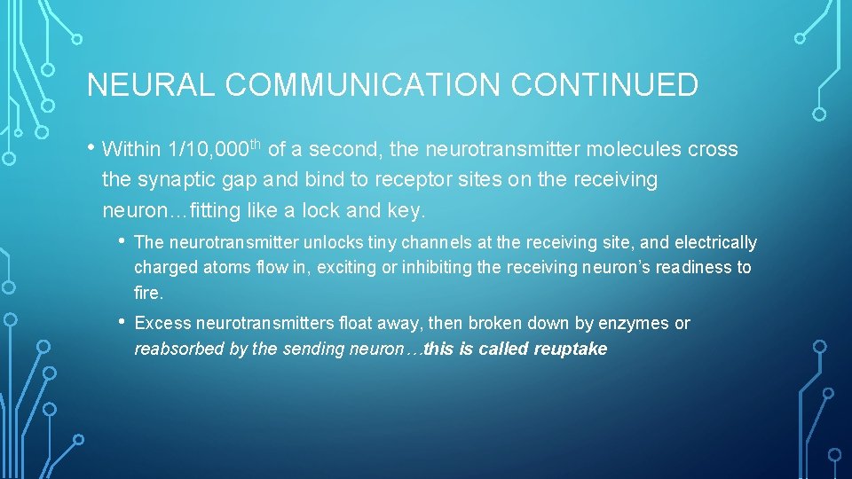 NEURAL COMMUNICATION CONTINUED • Within 1/10, 000 th of a second, the neurotransmitter molecules