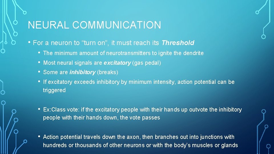 NEURAL COMMUNICATION • For a neuron to “turn on”, it must reach its Threshold