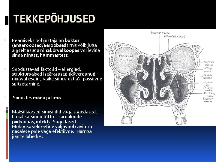 TEKKEPÕHJUSED Peamiseks põhjustaja on bakter (anaeroobsed/aeroobsed) mis võib juba algselt asuda ninakõrvalkoopas või levida