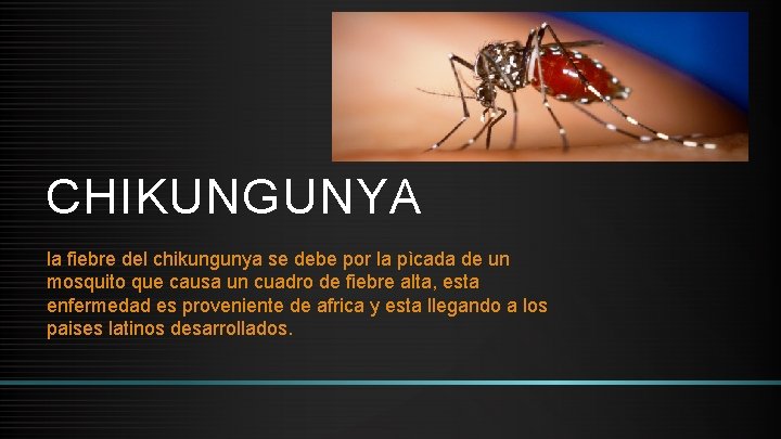 CHIKUNGUNYA la fiebre del chikungunya se debe por la pìcada de un mosquito que