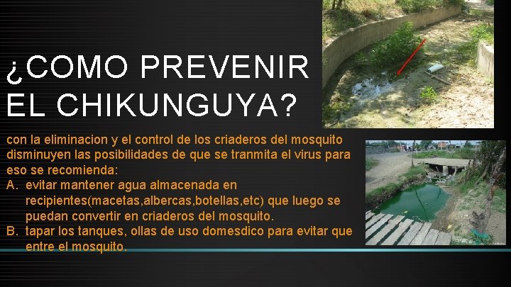 ¿COMO PREVENIR EL CHIKUNGUYA? con la eliminacion y el control de los criaderos del