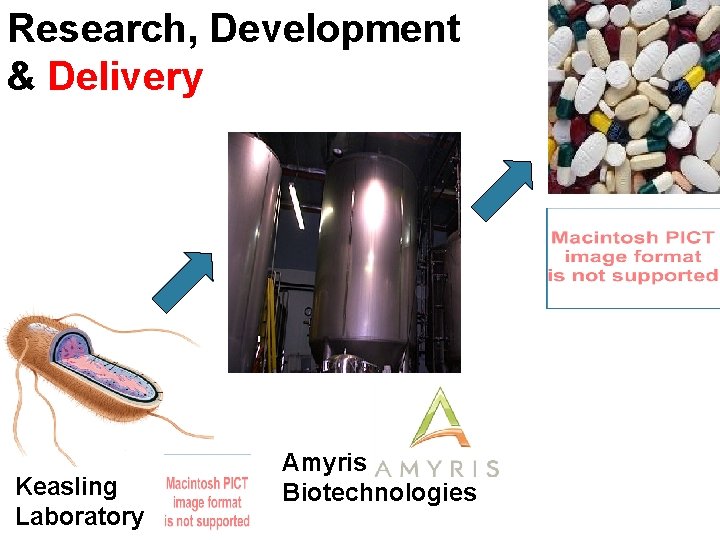 Research, Development & Delivery Keasling Laboratory Amyris Biotechnologies 
