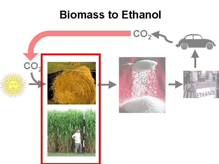 Biomass to Ethanol CO 2 