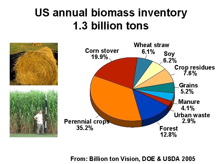 US annual biomass inventory 1. 3 billion tons Corn stover 19. 9% Wheat straw