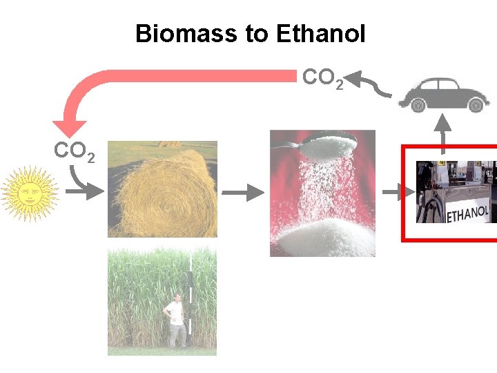 Biomass to Ethanol CO 2 