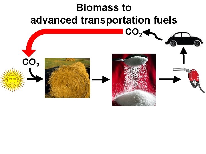Biomass to advanced transportation fuels CO 2 