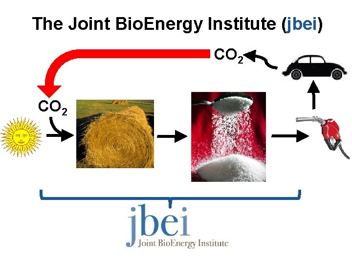 The Joint Bio. Energy Institute (jbei) CO 2 