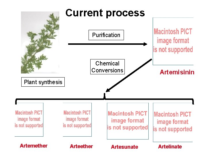Current process Purification Chemical Conversions Artemisinin Plant synthesis Artemether Artesunate Artelinate 