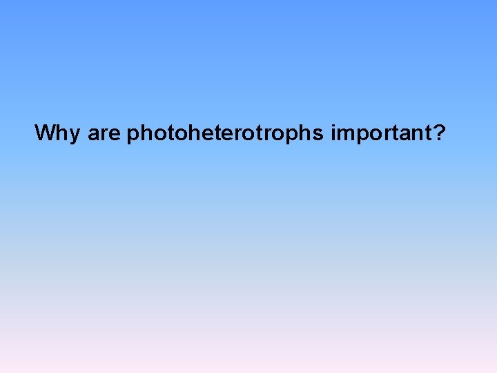 Why are photoheterotrophs important? 