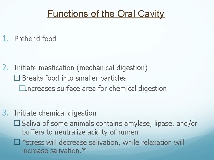 Functions of the Oral Cavity 1. Prehend food 2. Initiate mastication (mechanical digestion) �
