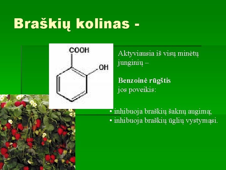 Braškių kolinas Aktyviausia iš visų minėtų junginių – Benzoinė rūgštis jos poveikis: • inhibuoja