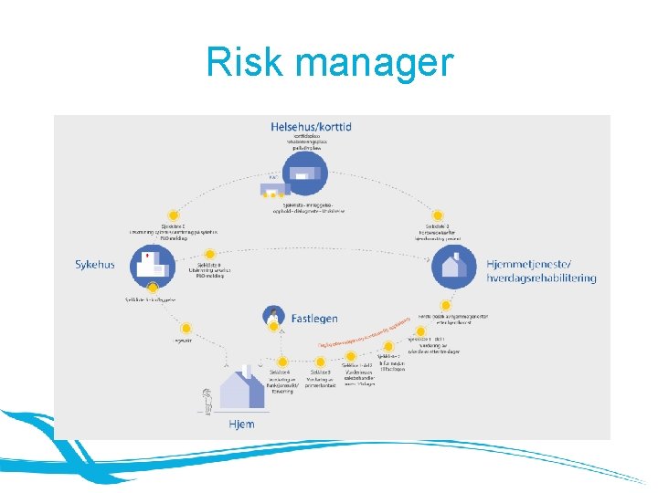 Risk manager 