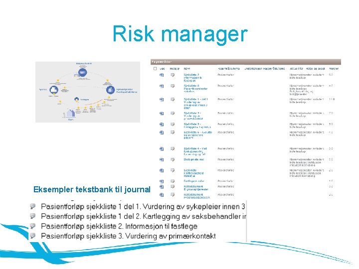 Risk manager Eksempler tekstbank til journal 