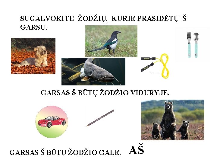 SUGALVOKITE ŽODŽIŲ, KURIE PRASIDĖTŲ Š GARSU. GARSAS Š BŪTŲ ŽODŽIO VIDURYJE. GARSAS Š BŪTŲ