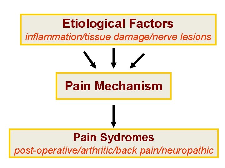 Etiological Factors inflammation/tissue damage/nerve lesions Pain Mechanism Pain Sydromes post-operative/arthritic/back pain/neuropathic 