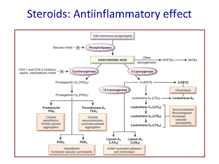 Steroids: Antiinflammatory effect 37 