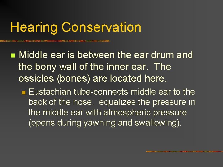 Hearing Conservation n Middle ear is between the ear drum and the bony wall