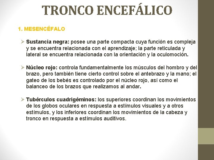 TRONCO ENCEFÁLICO 1. MESENCÉFALO Ø Sustancia negra: posee una parte compacta cuya función es