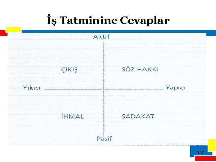 İş Tatminine Cevaplar 3 -17 