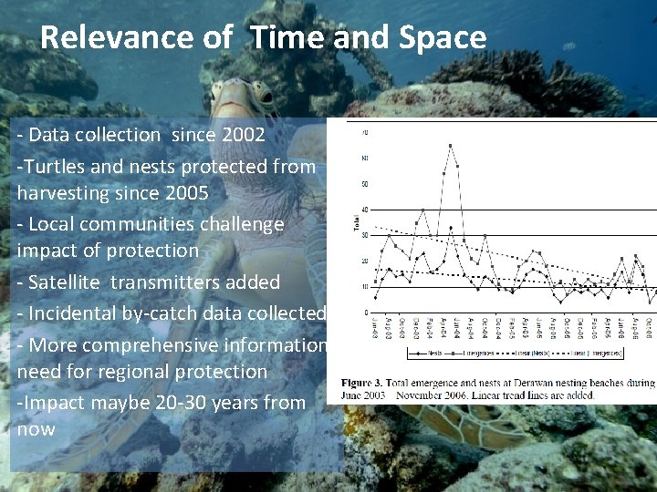 Relevance of Time and Space - Data collection since 2002 -Turtles and nests protected