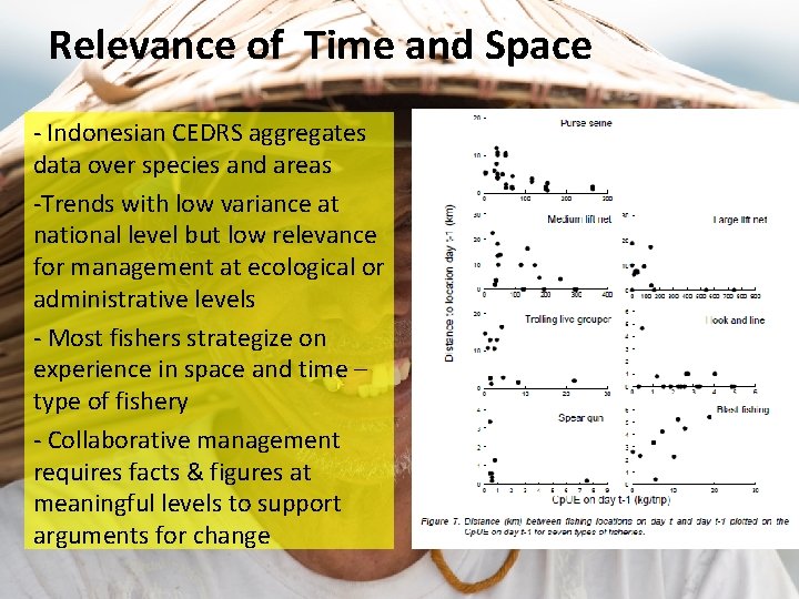 Relevance of Time and Space - Indonesian CEDRS aggregates data over species and areas