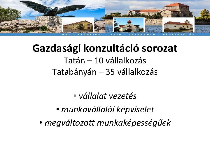 Gazdasági konzultáció sorozat Tatán – 10 vállalkozás Tatabányán – 35 vállalkozás • vállalat vezetés