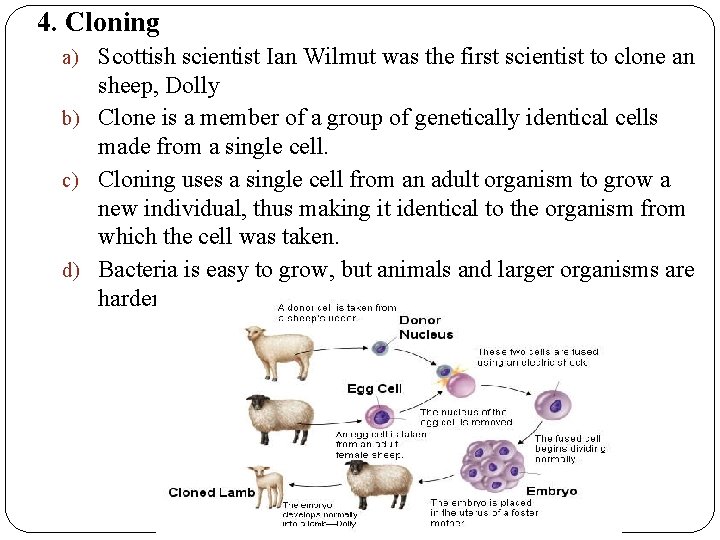 Transgenic Organisms Vocabulary Clone Definition a member of