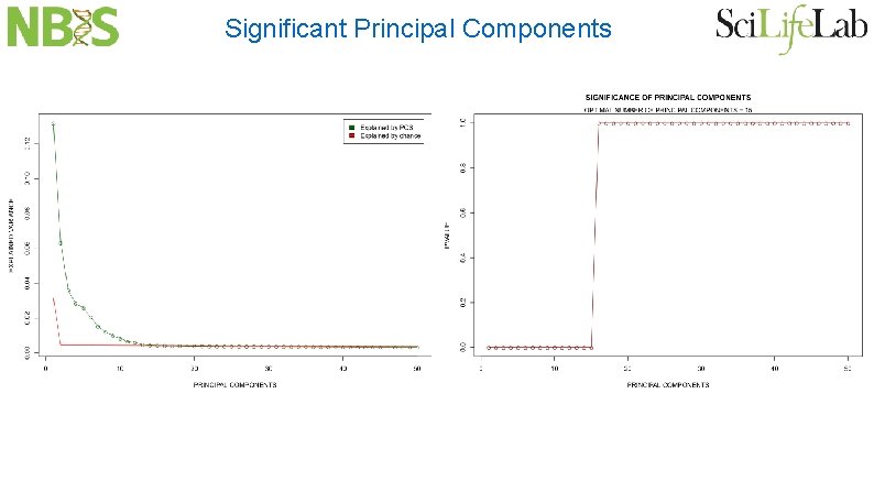 Significant Principal Components 