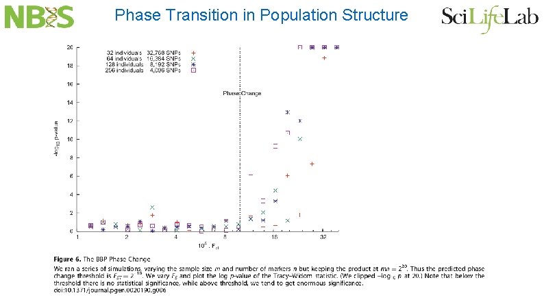 Phase Transition in Population Structure 