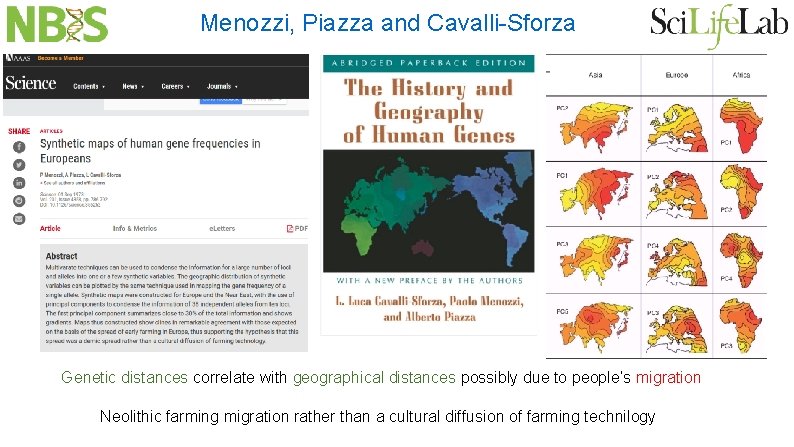Menozzi, Piazza and Cavalli-Sforza Genetic distances correlate with geographical distances possibly due to people’s