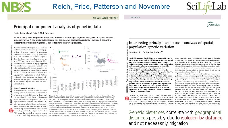 Reich, Price, Patterson and Novembre Genetic distances correlate with geographical distances possibly due to