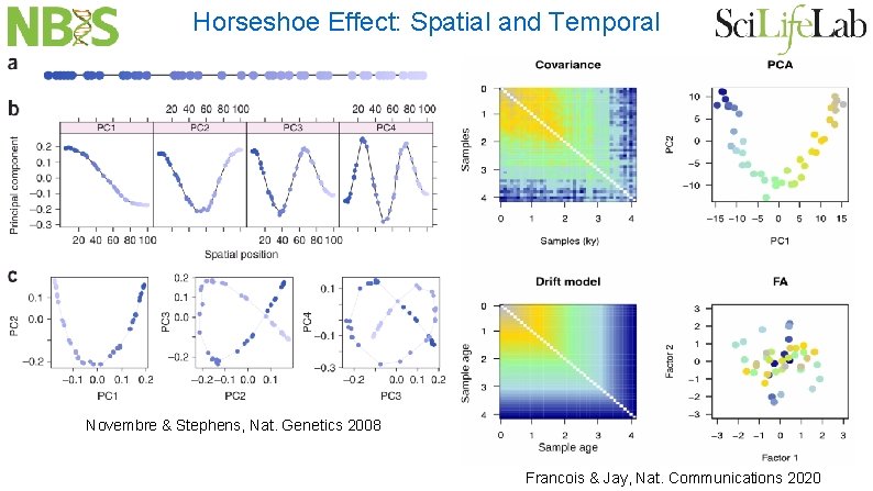 Horseshoe Effect: Spatial and Temporal Novembre & Stephens, Nat. Genetics 2008 Francois & Jay,