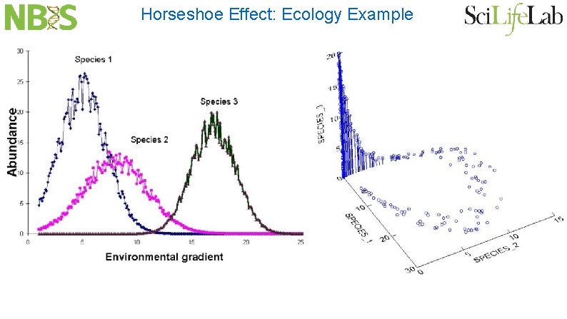 Horseshoe Effect: Ecology Example 