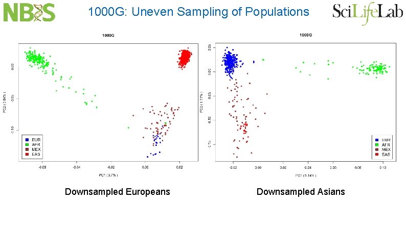 1000 G: Uneven Sampling of Populations Downsampled Europeans Downsampled Asians 