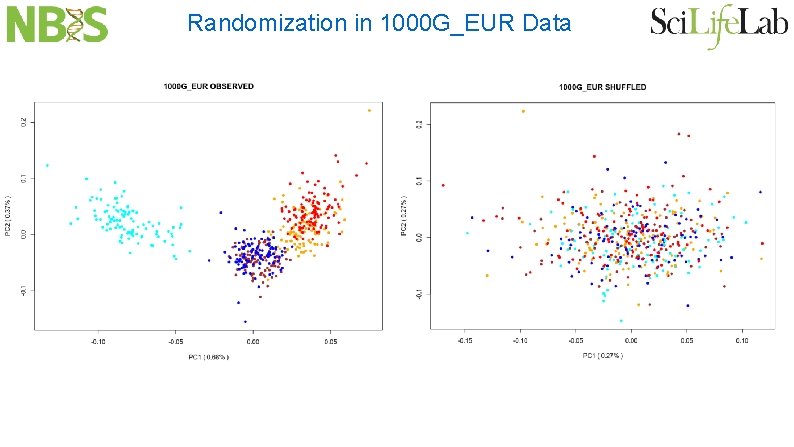 Randomization in 1000 G_EUR Data 